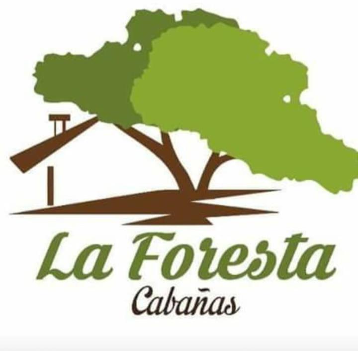 Cabana La Foresta Coyhaique Ngoại thất bức ảnh